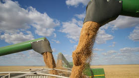 Ukraine wants grain export deal extended – official