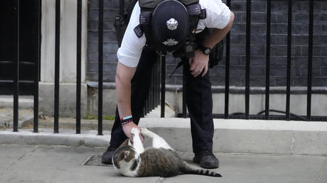 FILE PHOTO: A police officer is seen with Larry. the 'official' Downing Street cat, in London, Britain, July 6, 2022.