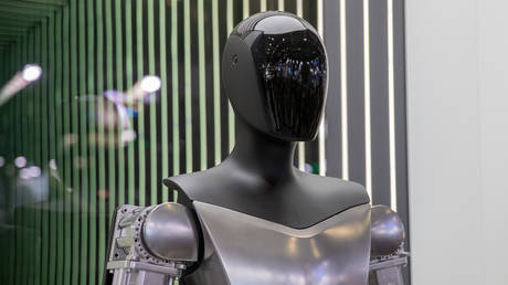 FILE PHOTO: A Tesla robot on display in Shanghai, China.