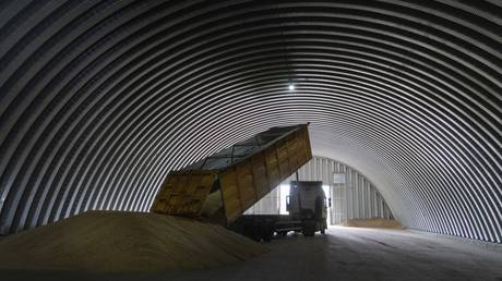 Russia reveals position on Istanbul grain deal