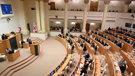 FILE PHOTO: Georgia’s parliament in session in Tbilisi, 2021.