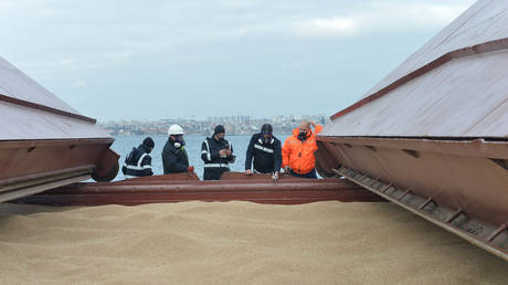 FILE PHOTO: An inspection of a ship in Istanbul, carrying wheat from Ukraine.