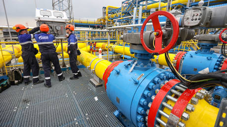 Russia and China ironing out new gas megadeal – deputy PM
