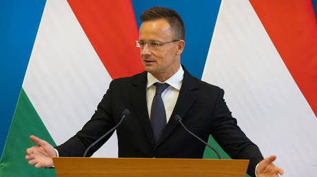 Hungary comments on Ukraine’s NATO and EU bids