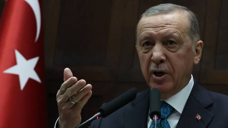 Erdogan tells US ambassador to ‘know his place’