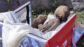 Ancient mummy found in deliveryman’s backpack