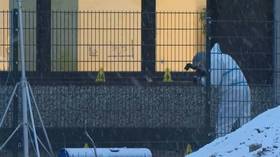 Multiple deaths in Hamburg shooting
