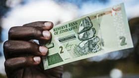 Zimbabwe poised to ditch dollar in trade with Russia – official