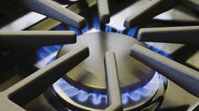 Germans warned of gas shortage