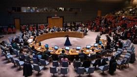 UNSC vote on Russian resolution fuels suspicions – Moscow