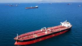 Indian imports of Russian oil skyrocket – official