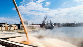 EU countries seek protection from Ukrainian grain