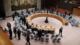 Ukraine protests Russia's new UN Security Council role