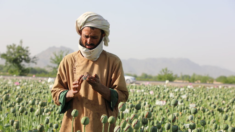 https://www.rt.com/information/574173-taliban-afghan-poppy-heroin/The Taliban did in a single 12 months what Washington couldn’t in 20, sparking new panic
