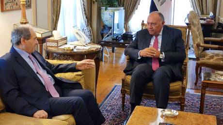 Egyptian Foreign Minister Sameh Shoukry and his Syrian counterpart Faisal Mekdad during a meeting in Cairo.