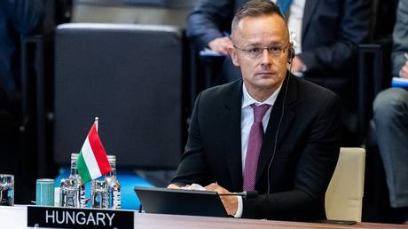 NATO member blasts Ukraine invitation