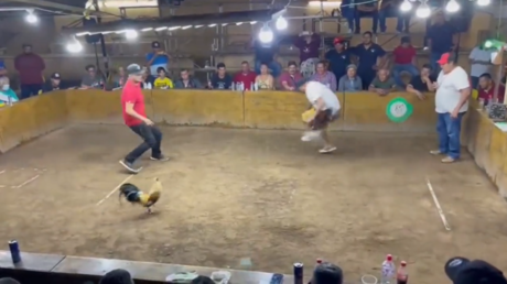 Man gets stabbed by own cock (VIDEO)