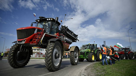 FILE PHOTO: Farmers protest against the duty-free import of grain coming from Ukraine into the EU, in Rousse on March 29, 2023.