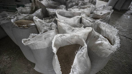 EU nation bans Ukrainian grain