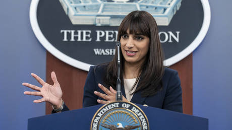 Sabrina Singh speaks during a media briefing at the Pentagon in Washington, DC, January 26, 2023