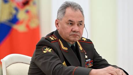 FILE PHOTO: Russian Defense Minister Sergey Shoigu.