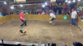 Man gets stabbed by own cock (VIDEO)