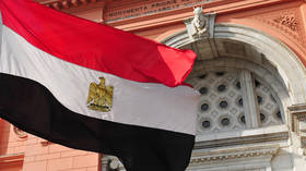 Egypt denies producing rockets for Russia – media