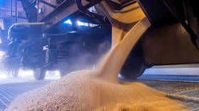 Poland to ‘temporarily ban’ Ukrainian grain imports