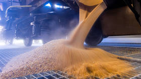 EU weighs in on Poland and Hungary’s ban on Ukrainian grain