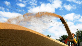 How EU halt of Ukrainian grain imports could threaten global food supplies