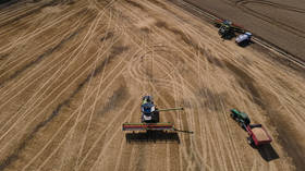 Kremlin issues grain deal warning