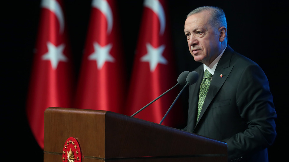 Somalis cheer on Türkiye’s Erdogan to win re-election Somalis cheer on Türkiye’s Erdogan to win re-election