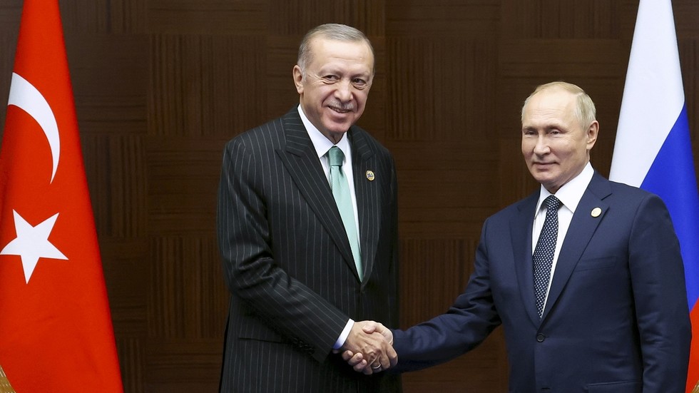 Erdogan hails ‘special relationship’ with Putin — RT World News Global Trade
