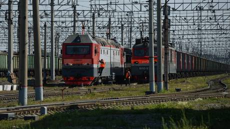 FILE PHOTO: Cargo trains of the Russian Railways company.