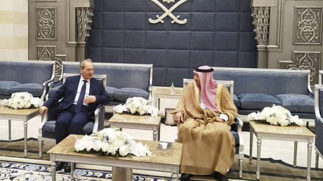Saudi Deputy Foreign Minister Waleed Al-Khuraiji (R) meets with Syrian Foreign Minister Faisal Mekdad in Jeddah, Saudi Arabia, April 12, 2023.