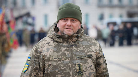 Ukraine’s top general skips NATO meeting