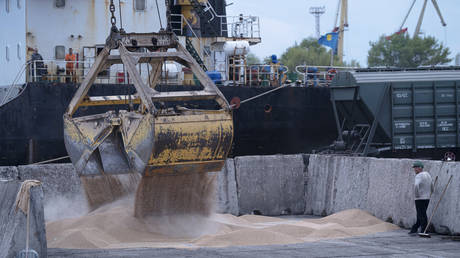 FILE PHOTO: Workers load grain at a grain port in Izmail, Ukraine.