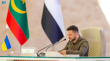 Zelensky shames Arab leaders