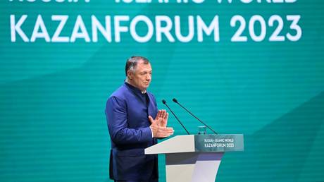 Nobody in the Muslim world supports sanctions on Russia &ndash; deputy PM