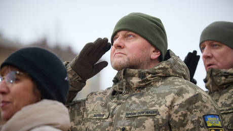 Commander-in-Chief of the Armed Forces of Ukraine Valery Zaluzhny