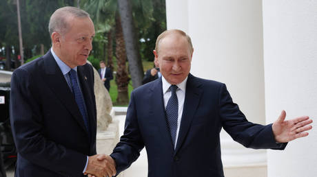 FILE PHOTO: Turkish President Recep Tayyip Erdogan (L) is welcomed by Russian President Vladimir Putin (R) prior to their meeting in Sochi, Russia on August 05, 2022.