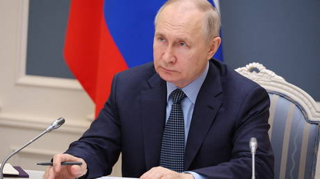 Russian President Vladimir Putin chairs a meeting on spring agricultural work via a video conference at the Kremlin in Moscow on May 18, 2023.