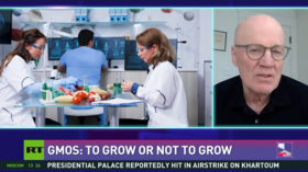 GMOs: To grow or not to grow
