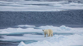 Russia issues warning over Arctic Council