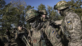 Western pressure can ‘screw up’ Ukrainian counteroffensive – ex-US general