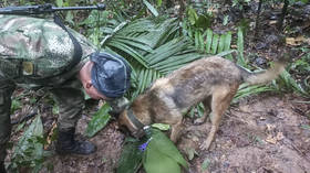 President retracts crash survivor jungle rescue claim