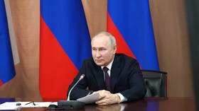 ‘Morons’ misunderstand strength of Russia’s diversity – Putin