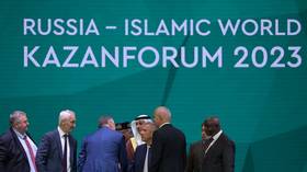 Russia and Islamic world share geopolitical vision – Syrian envoy