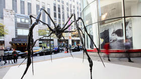 Giant spider sets auction record