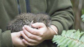 US zoo apologizes to New Zealand